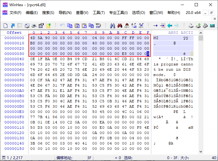 MZ头部