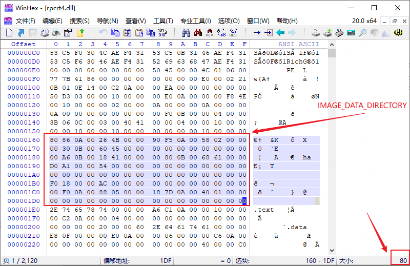 DataDirectory 内存
